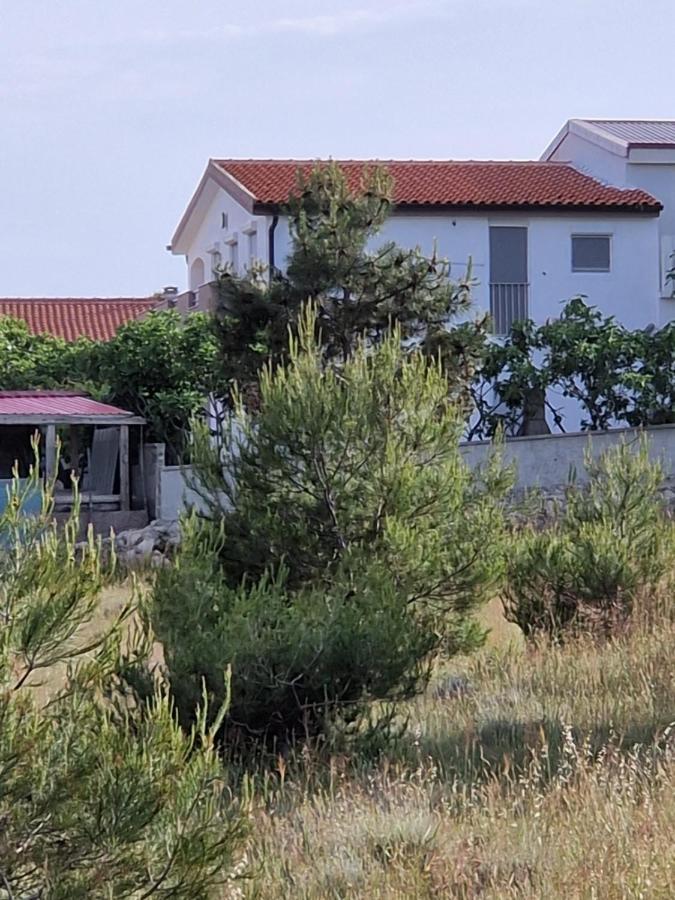 Apartments Ema Vir Bagian luar foto